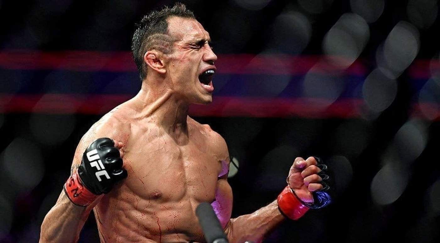 Тони Фергюсон победил Натаниэля Бустаманте - смотрите видео нокаута онлайн Тони Фергюсон победил Натаниэля Бустаманте - смотрите видео нокаута онлайн