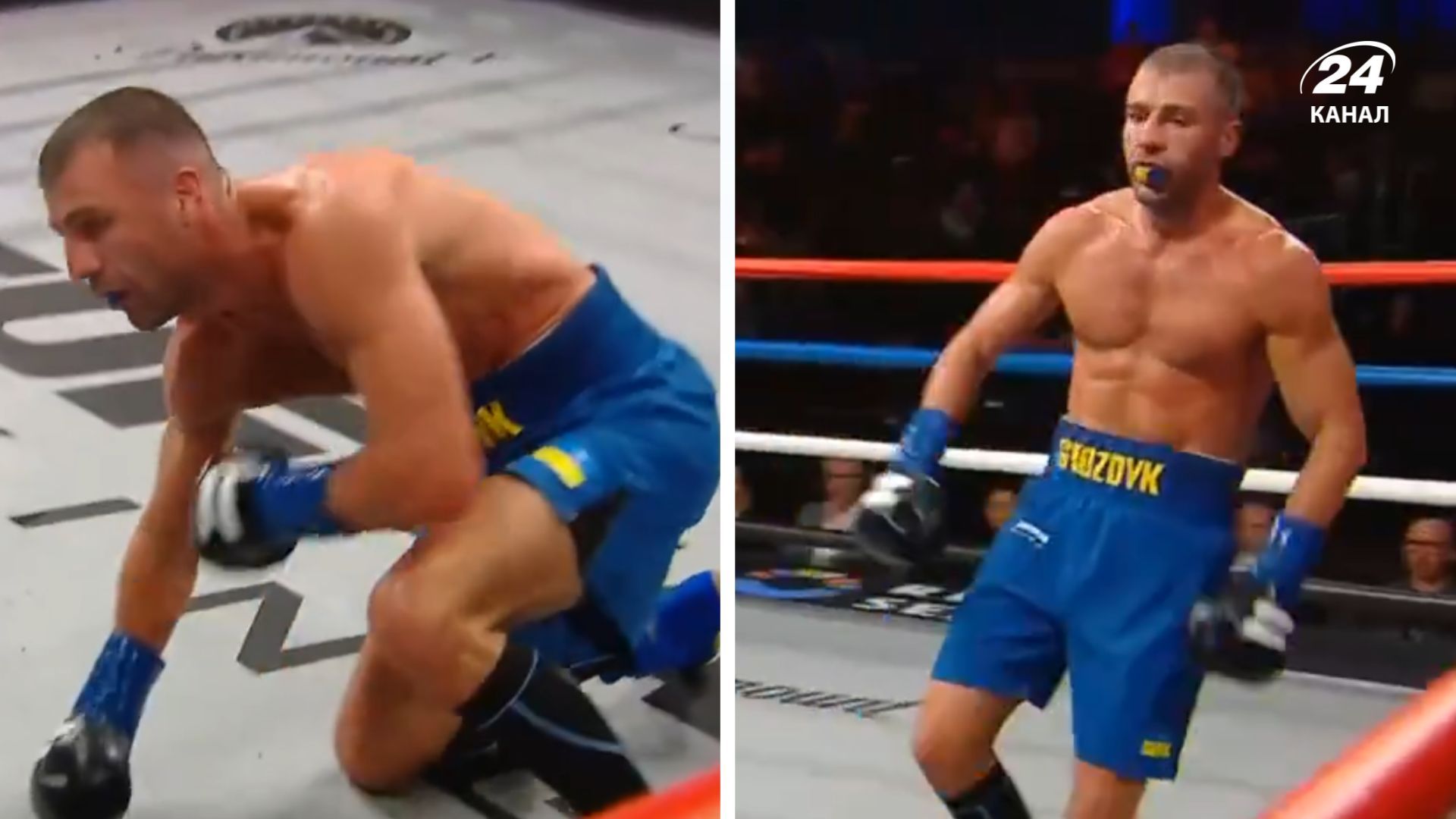 Гвоздик - Калайджич, результат бою 2 лютого 2026 - відео нокауту