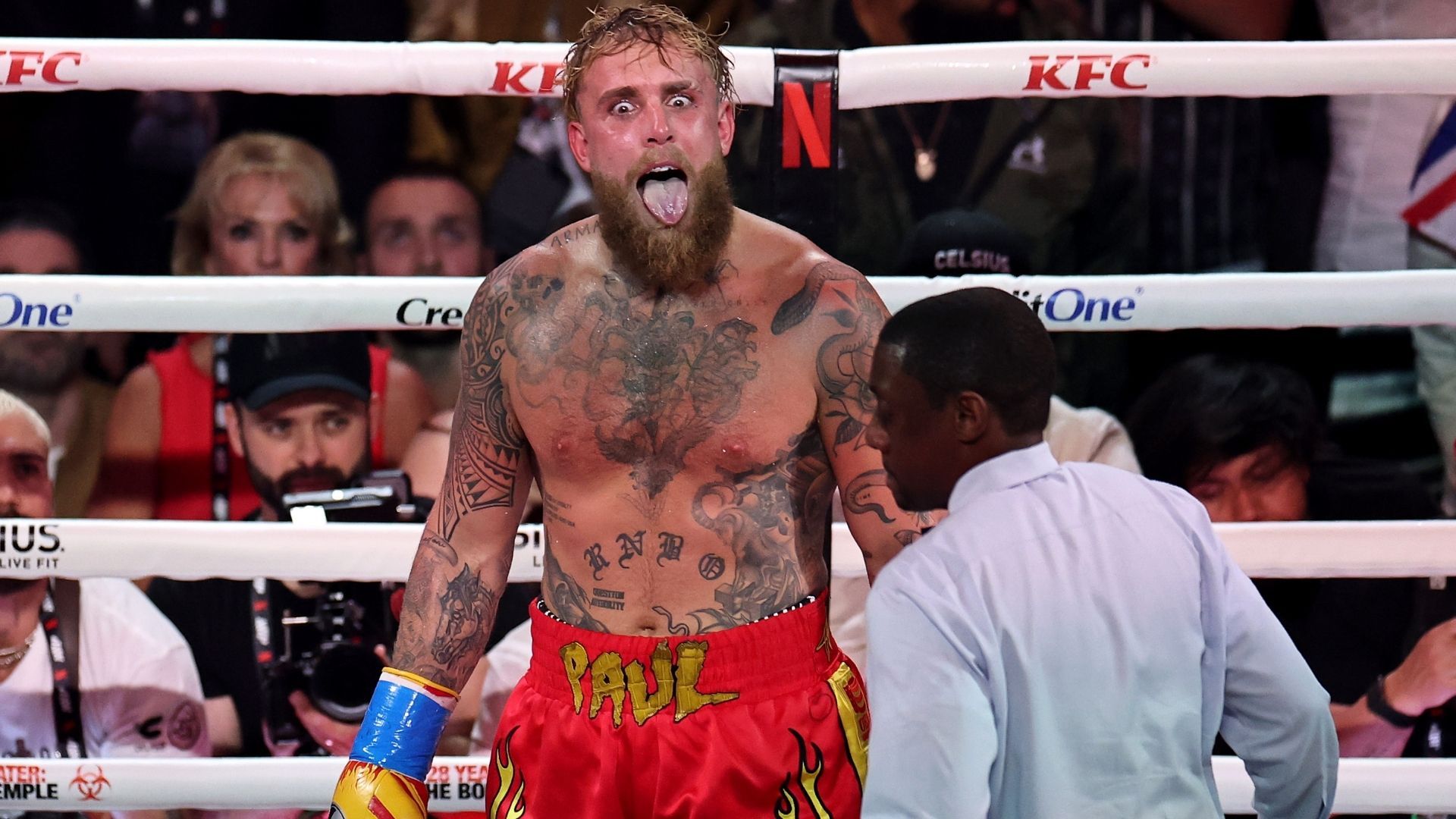 Усик - Пол - блогер розповів про плани на кар'єру боксера